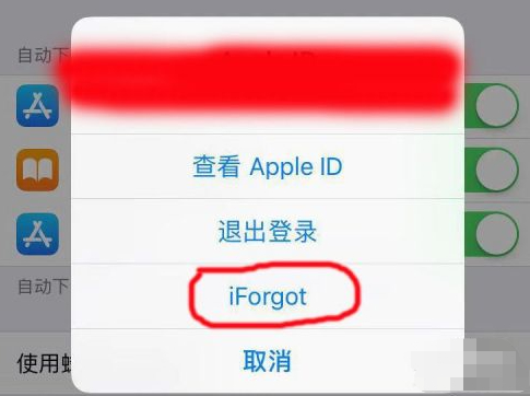 apple store密码重置第3步