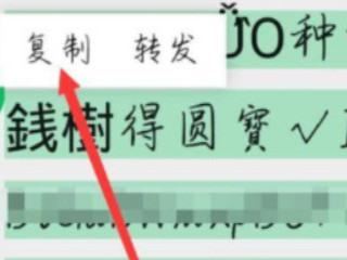 拼多多口令复制后怎么打开第3步