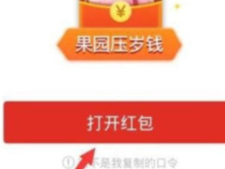 拼多多口令复制后怎么打开第4步