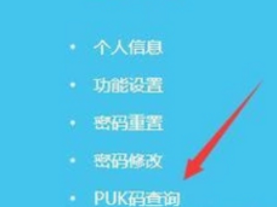 电信手机营业厅如何查puk码第4步