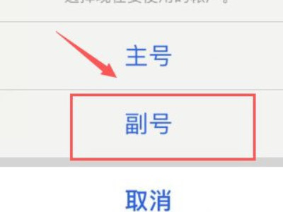 苹果12双卡双待怎么用第4步