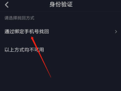 抖音被盗号了怎么拿回来第5步