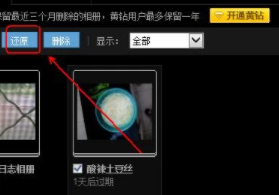 qq相册恢复永久删除的照片第6步