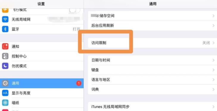 ipad访问限制在哪里打开第3步