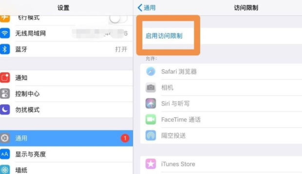 ipad访问限制在哪里打开第4步
