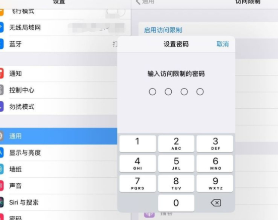 ipad访问限制在哪里打开第5步