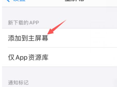 苹果11下载软件桌面上不显示第3步