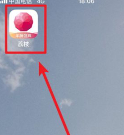 荔枝怎么测自己的声音属性第1步