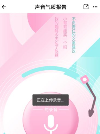 荔枝怎么测自己的声音属性第6步