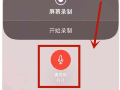 苹果手机打电话录屏为什么没有声音第6步