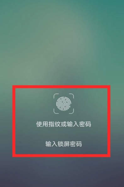vivo未成年保护模式在哪关闭第4步