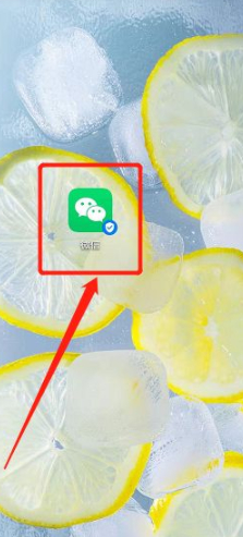 西湖益联保怎么查询保单第1步