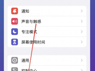 iphone录视频声音很小第2步