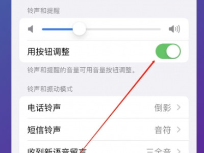 iphone录视频声音很小第4步