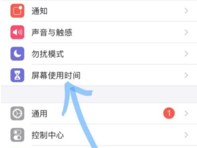 苹果手机不能拍照了是什么原因第1步