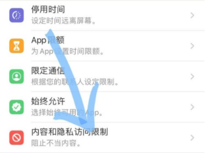 苹果手机不能拍照了是什么原因第2步