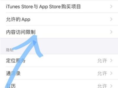 苹果手机不能拍照了是什么原因第3步