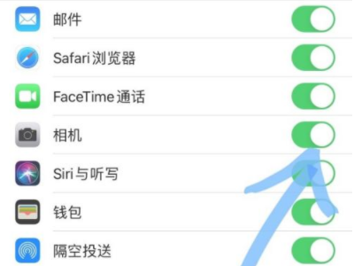 苹果手机不能拍照了是什么原因第4步