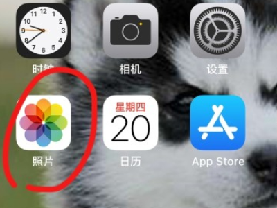 苹果手机怎么打包图片发给别人第1步