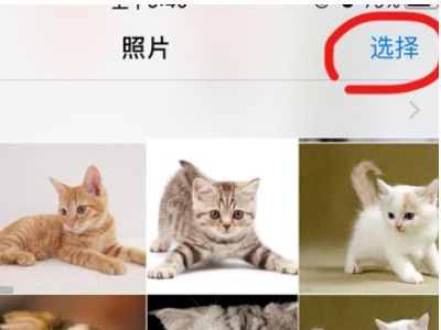 苹果手机怎么打包图片发给别人第2步