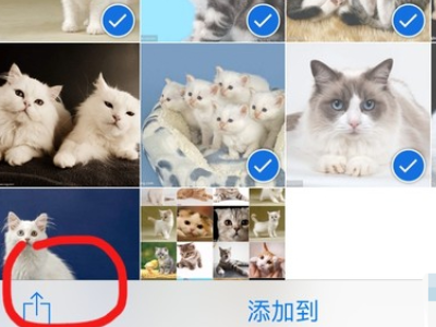 苹果手机怎么打包图片发给别人第3步
