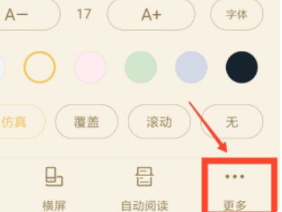 iPhone看小说音量键翻页第4步
