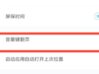 iPhone看小说音量键翻页第5步