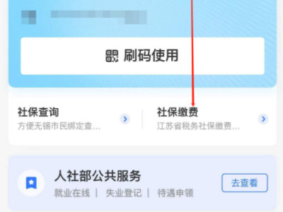 为什么支付宝社保缴费交不了第2步