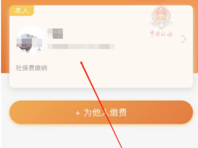 为什么支付宝社保缴费交不了第4步