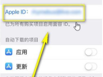 app更新反复弹出登录iTunes第3步