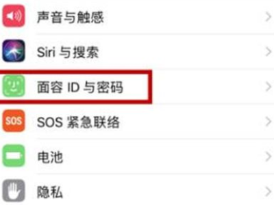 苹果面容解锁后直接进入桌面第2步