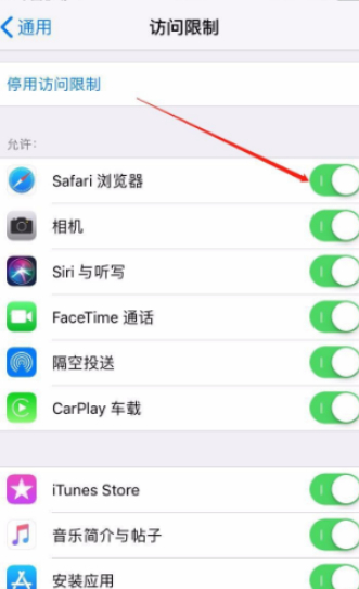 苹果手机隐私应用加密第6步
