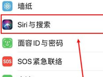 苹果siri怎么设置主人的声音第2步