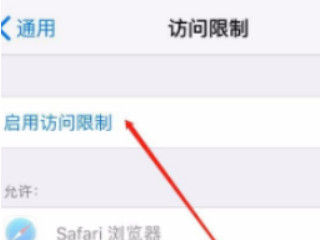 苹果11应用加密怎么设置第4步