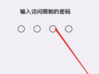 苹果11应用加密怎么设置第5步