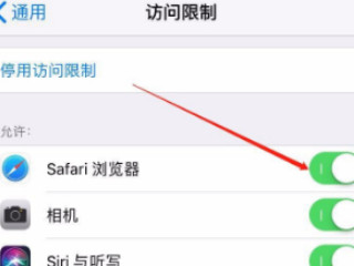 苹果11应用加密怎么设置第6步