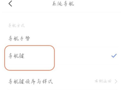 vivo手机怎么把下面的返回键调出来第3步