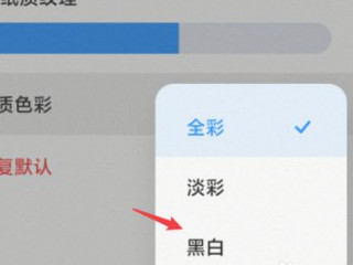 小米手机怎么开黑白模式第6步