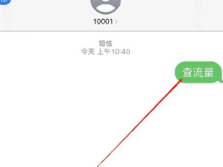 怎样查流量剩余流量第4步