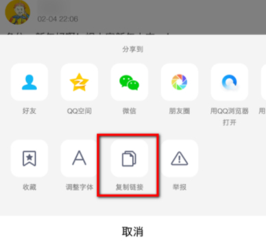 手机qq空间说说链接怎么复制第8步