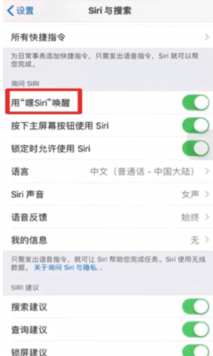 siri重新设置主人声音第2步