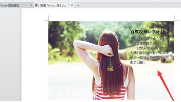 word表格怎么消除文本框边框第7步