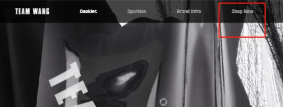 teamwang怎么购买第2步