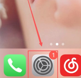 苹果手机怎么清除登录过的id第1步