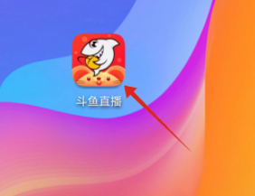 斗鱼如何取消关注的主播第1步