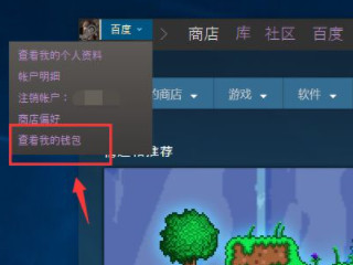 steam怎么充值30以下第4步