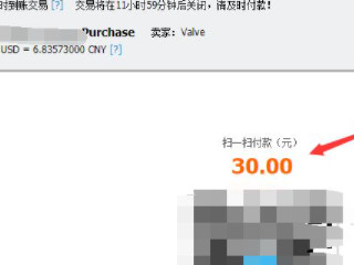 steam怎么充值30以下第9步