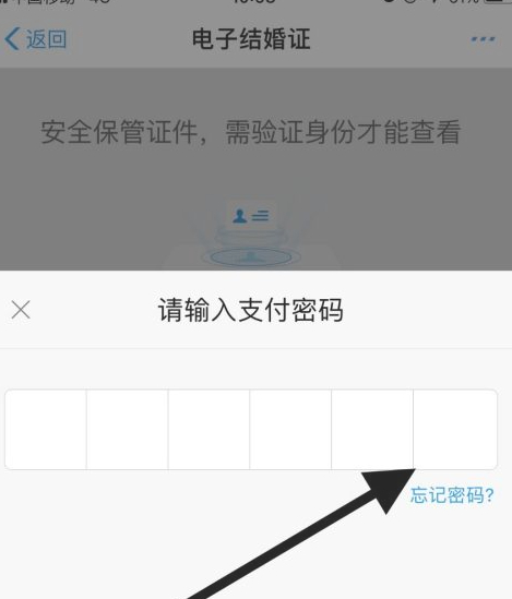 网上查结婚证怎么查第5步