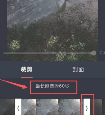 苹果怎么把视频做成实况照片第2步
