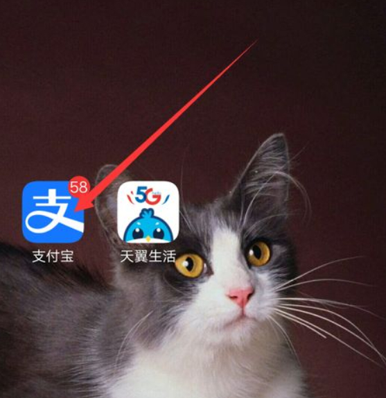 健康码怎样显示身份证号码第1步